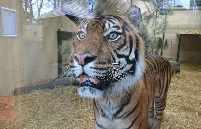 Violet Bank Apartment New Town - Foto 19