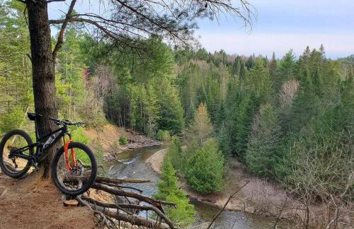 Burke Abode - Trailside Condo with King & Full Beds - Foto 24