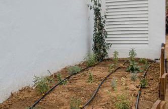 Casa da Azeitona e Bolota T2 - Monte do Serrado de Baixo - Foto 35