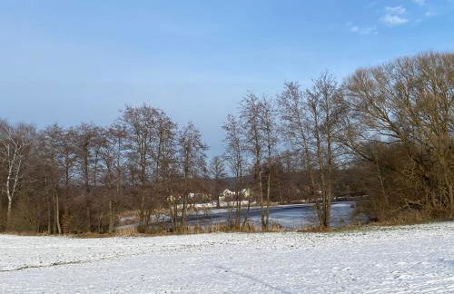 Grosszügig und komfortabel:Ferienwohnung im Bayerischen Wald! - Foto 27
