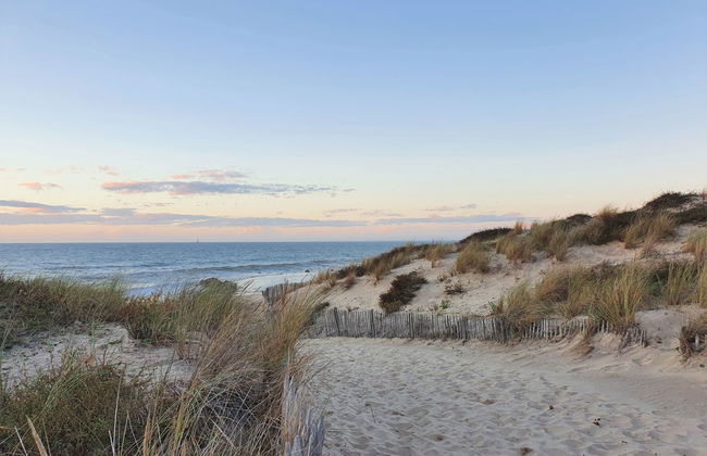 Les Alcyons T2 - Foto 20