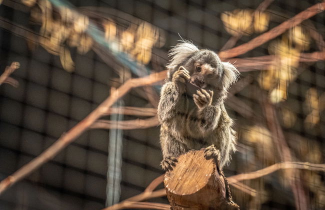 Ferienpark Weissenhäuser Strand - Foto 80
