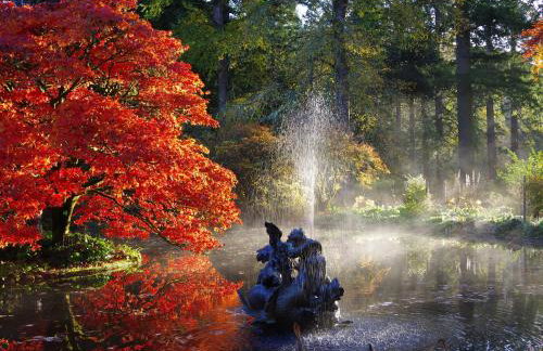 Ard Darach Lodge - Foto 14