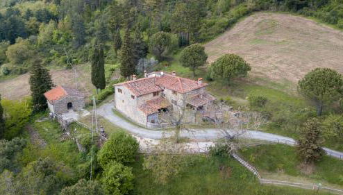 Fattoria di Cintoia - Foto 1