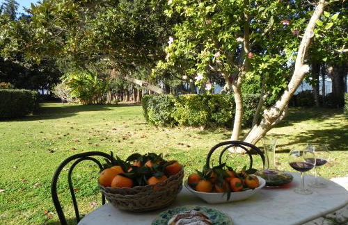 Masseria Case Damma - Photo 70