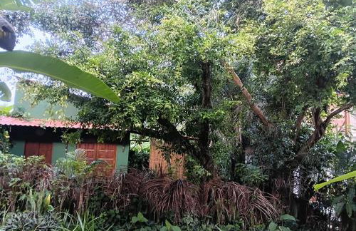 Recanto BantuArte-Boipeba - Foto 8