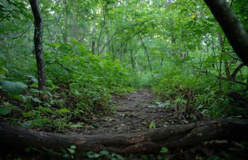 Ridgeview Cabin Views Hot Tub Fireplace BBQ Pets - Foto 14
