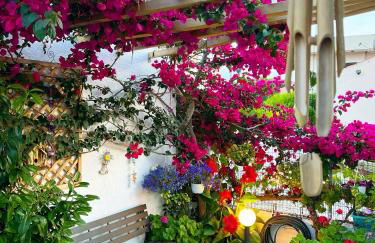 Yanna's Apartments - Foto 57