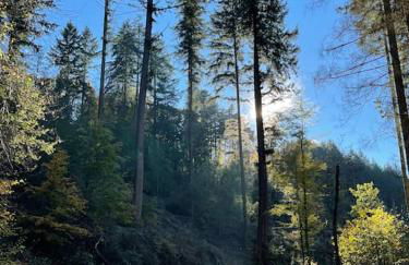 Charmante Ferienwohnung in Mastershausen/Hunsrück - Foto 26