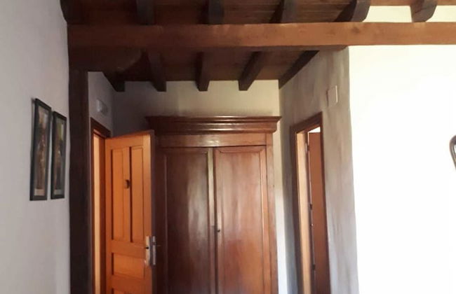 Sakura Vera - Foto 23