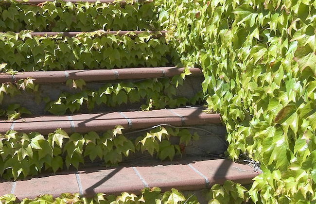 Il Colombaio di Cencio - Foto 49