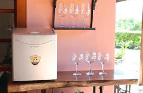 Haras Santa Amalia - Nova União MG - Foto 39