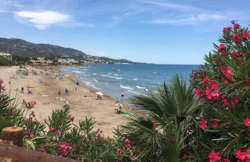 Villa França Air conditioned villa with sea view, WiFi, and private pool - Photo 22