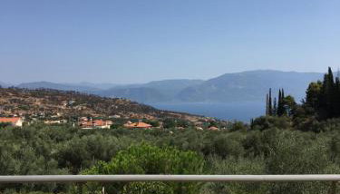 The Olive Orchard - Foto 3