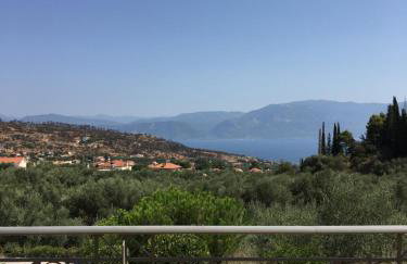 The Olive Orchard - Foto 3