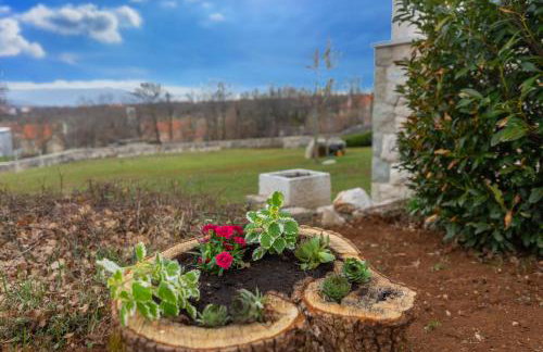 Villa Čelinka - Foto 30