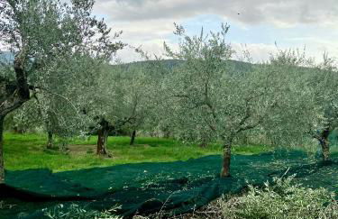 Borgo Medievale di Poggio Alla Pieve Relais, Food & Art - Foto 73