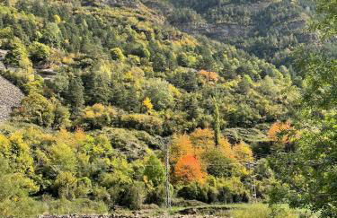 CALMFRANC ático abuhardillado con vistas al río y la montaña Avistamiento de ciervos en Canfranc Pueblo - Foto 43