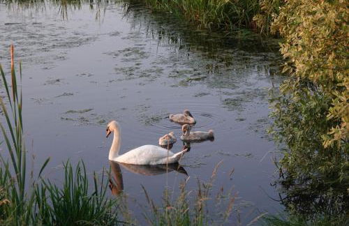 Old Hunstanton luxury by the sea - Foto 34