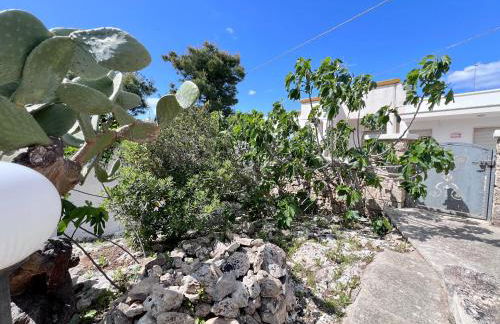 Trulli Malaspina Puglia On Line - Foto 39