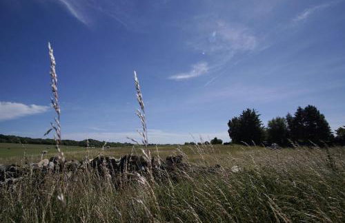 viel Natur und idyllische Umgebung - Ferienhaus Honigtopf FeWo Märchenwald - Foto 31