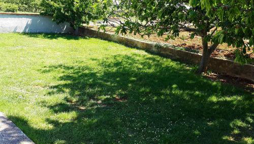 Apartment Tea - Foto 5, Garden