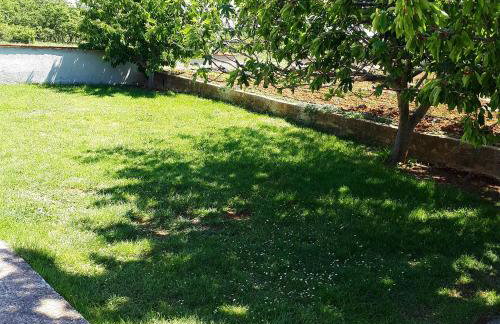 Apartment Tea - Photo 5