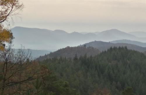 Ferienhaus Hedwig - Foto 32