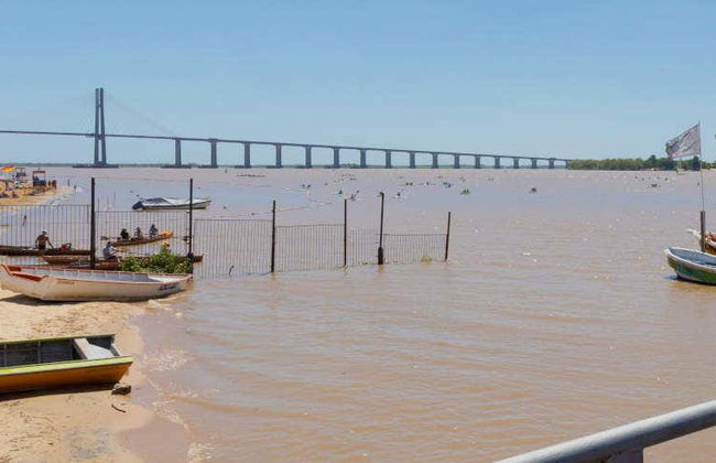 Balade en bateau à moteur sur le fleuve Paraná - Photo 7