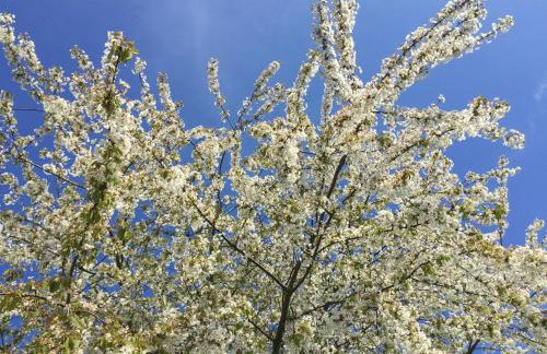 SeeZeichen-Apartment No 26 - Foto 31