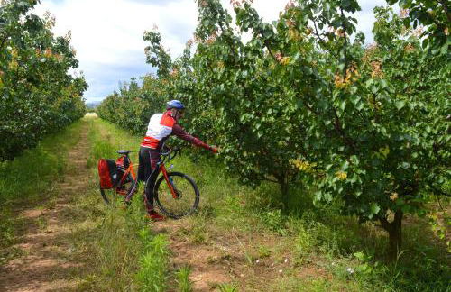 Azienda Agrituristica Il Pago - Foto 45