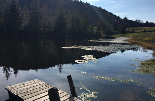 weitnaustyle - renoviert, modern, allergikerfreundlich - Photo 48