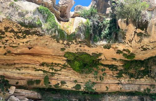 B&B Masia Katmandú - Foto 63