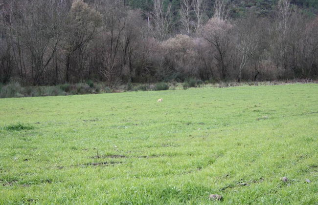 Casa Lagar Da Alagoa - Foto 51