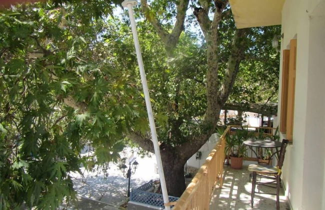 Harmony Apartments - Foto 20