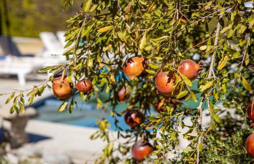 Martini Modern by ACME House Company - Foto 10