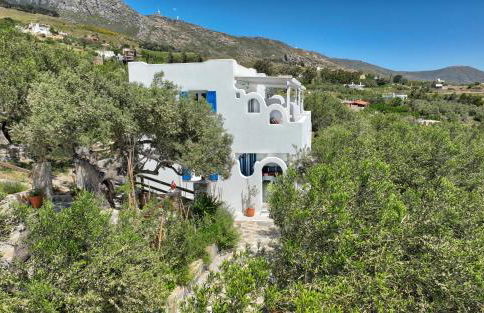 Aspra Chomata Villas - Foto 9