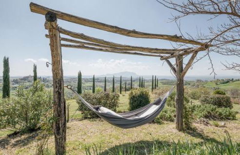 Blue Cherry - Foto 57