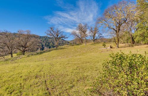 Hot Tub and Fire Pit Secluded Dos Rios Escape! - Foto 30