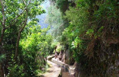 Ape Esquerdo - Foto 24