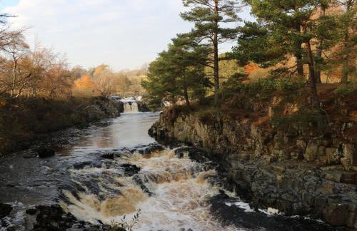 Belgrave House - Photo 63