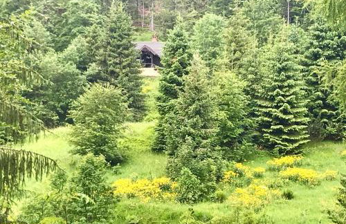 Flowmove Laliki - Foto 13