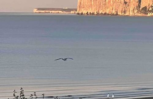 Sea View Villa V-Dubz, Filey - Foto 67