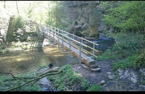 Ferienwohnung Schwarzwaldglück - Foto 33