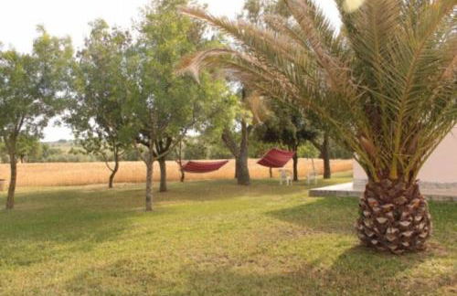 Agriturismo da Remo - Foto 49