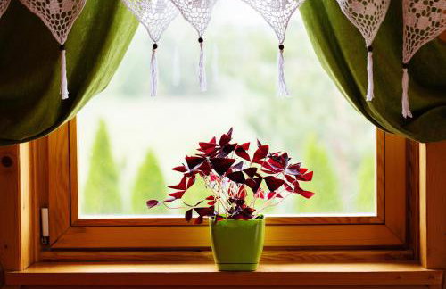 Kurpiowska Chatka - Foto 48