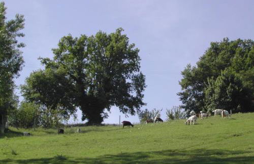 Agriturismo Casa Rosa - Foto 30