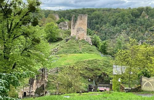 La petite vallée - Photo 25