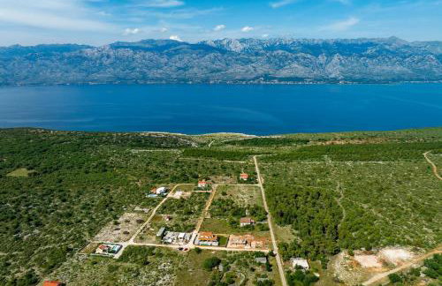 Pecora Nera - Photo 55