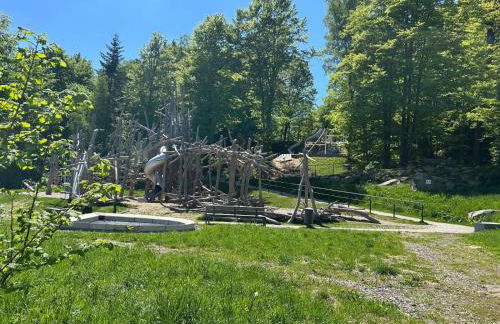 Ferienglück Geyersberg - Foto 51